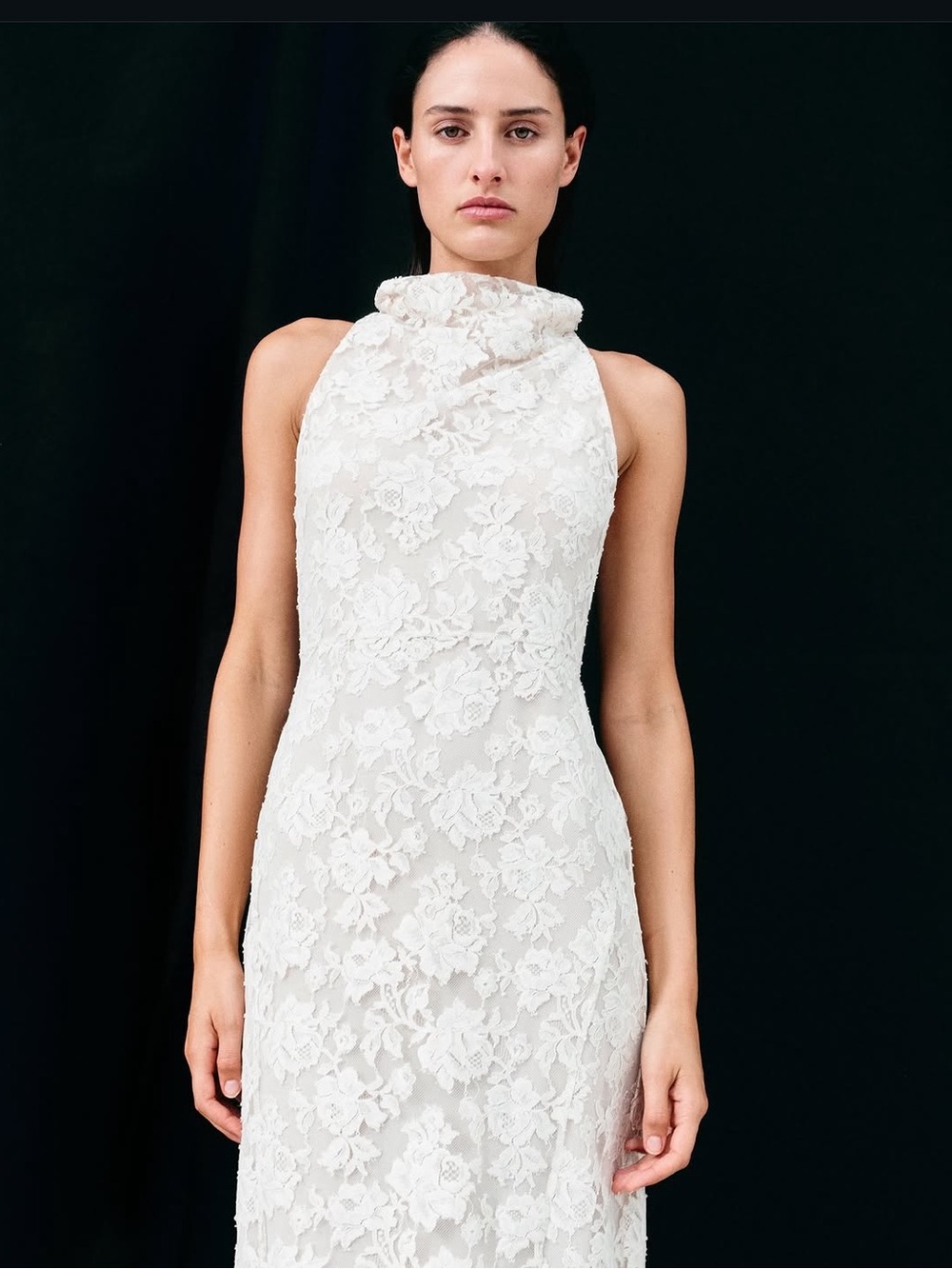 Shona Joy Cowl High Neck Lace Dress